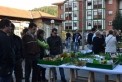 Fotos