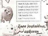 Eventos